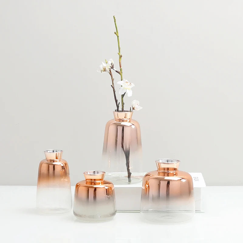 Scandinavian Gradient Glass Vase