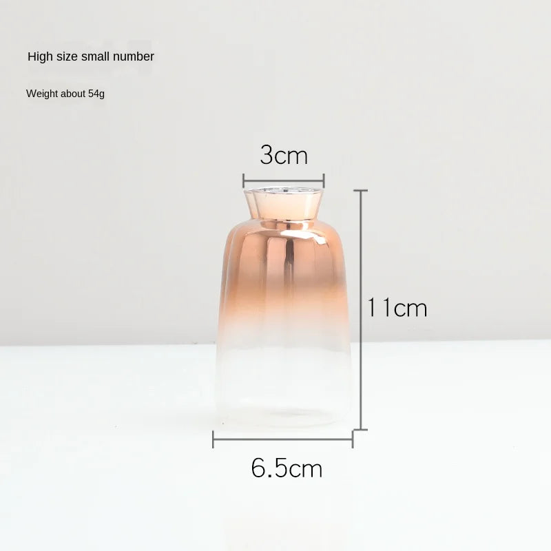 Scandinavian Gradient Glass Vase