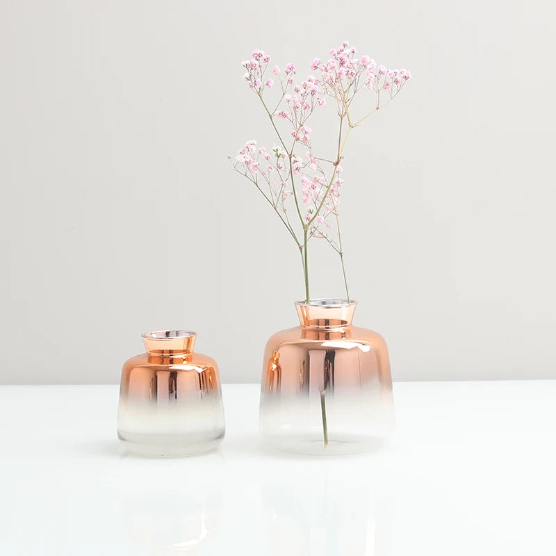 Scandinavian Gradient Glass Vase