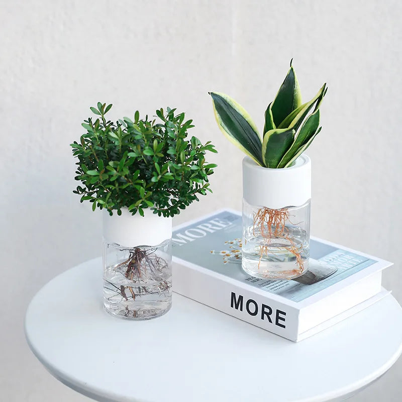 Nordic Transparent Water Planting Vase