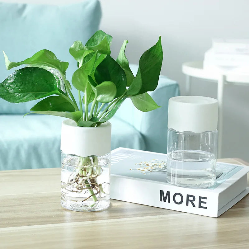 Nordic Transparent Water Planting Vase